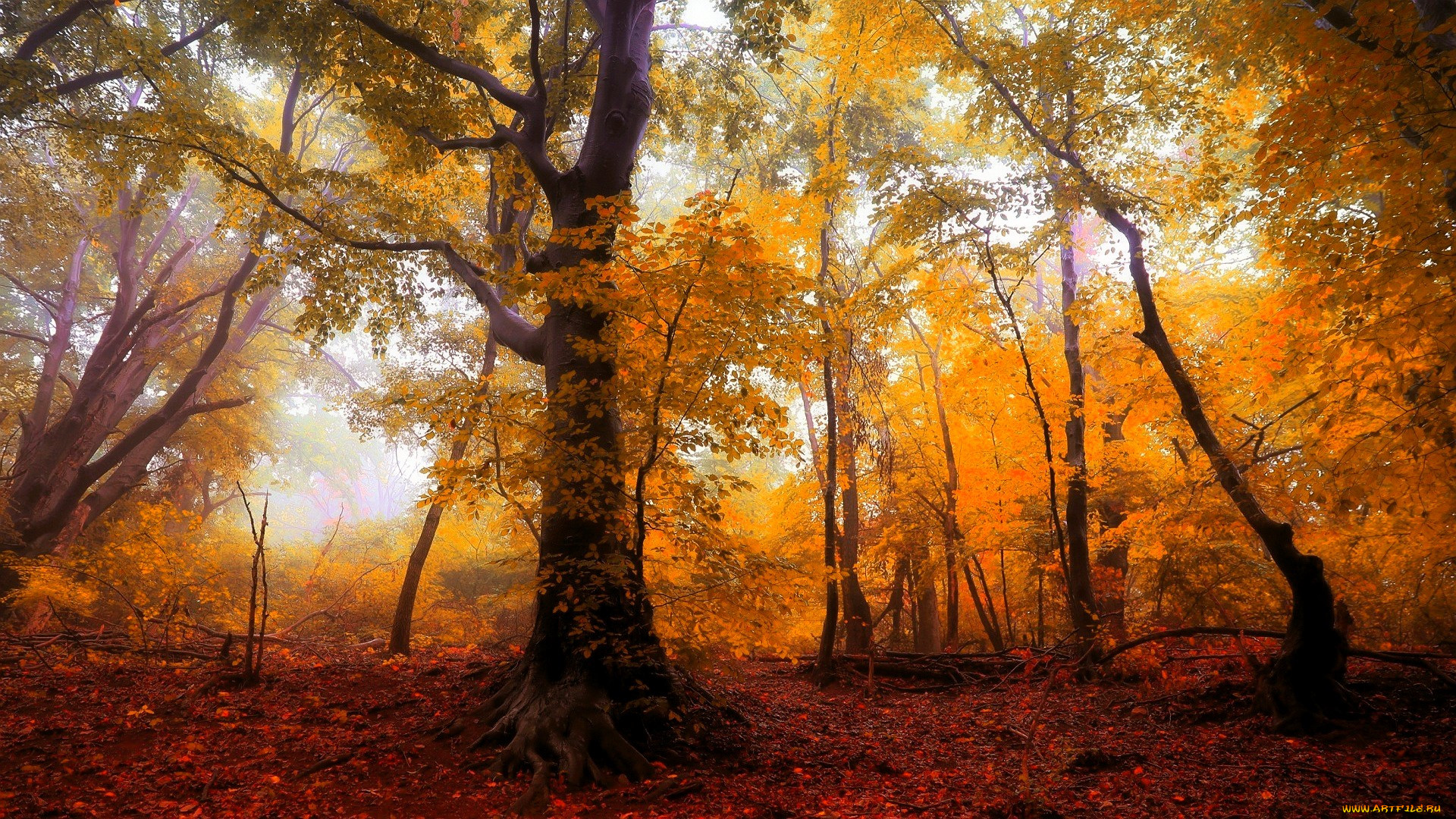 �������, ���, �������, ������, �������, �����